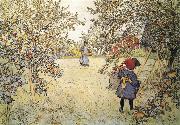 Carl Larsson Apple Harvest Spain oil painting reproduction